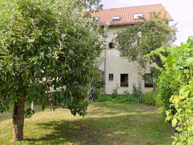 Garten hinter dem Haus