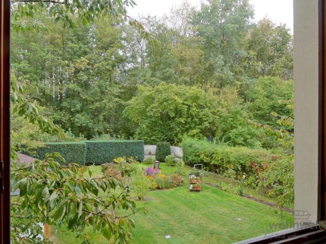 Blick in den Garten