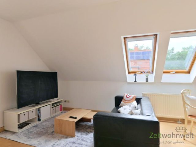 Sofa und TV