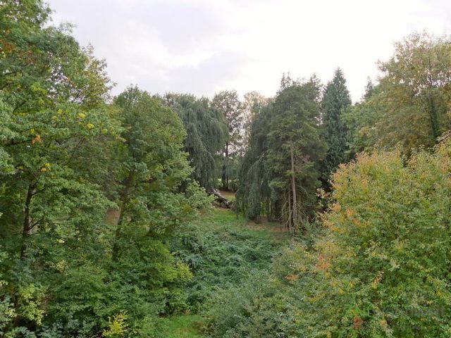 Blick aus dem Fenster in den Park