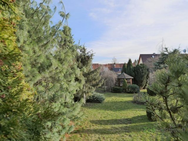 Blick in den Garten