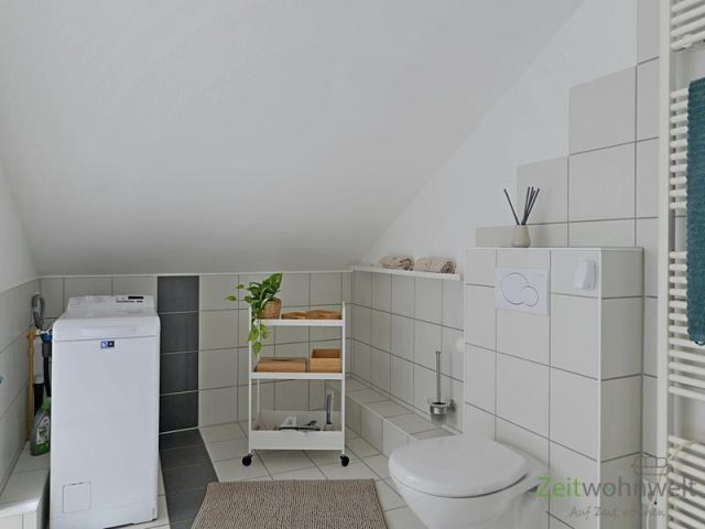 Waschmaschine und WC
