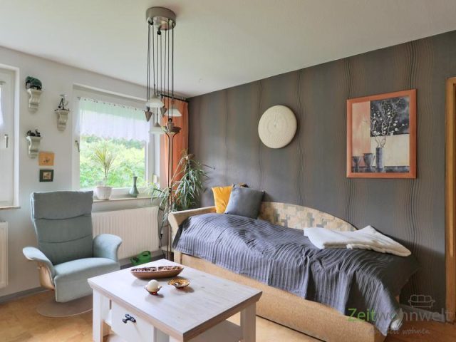 Schlafsofa und Sessel