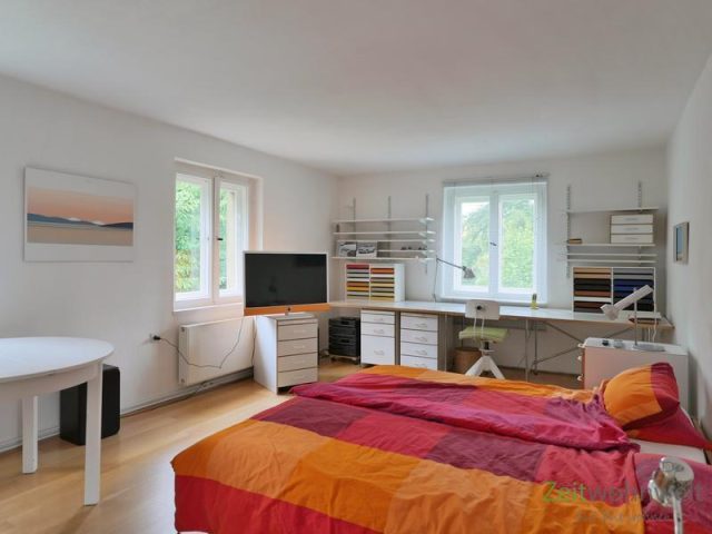 TV und großer Arbeitsplatz