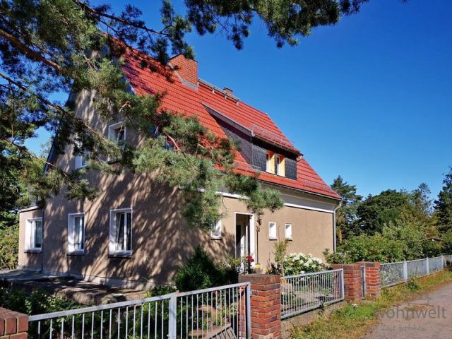 Außenansicht im Sommer