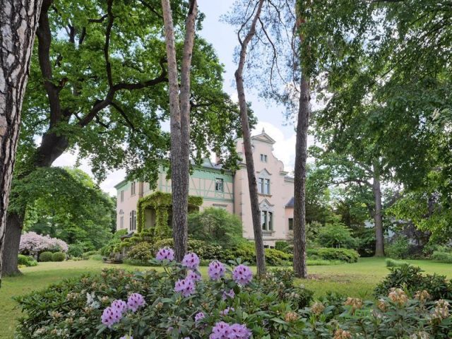 alter Baumbestand in der Parkanlage