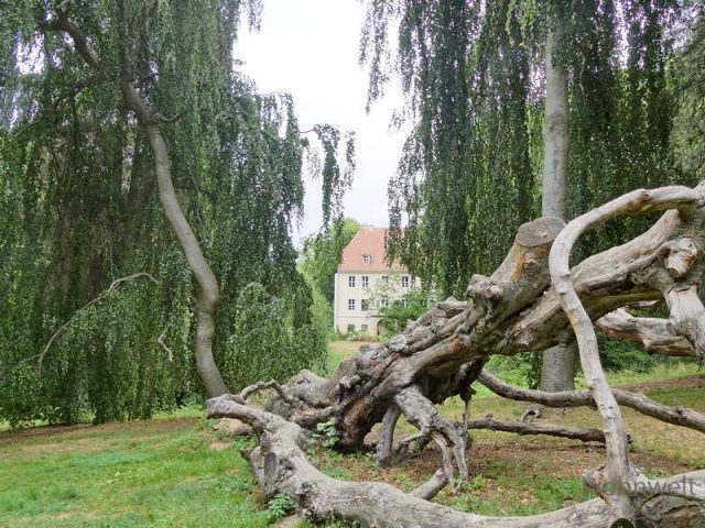 Blick vom Park auf das Schloss