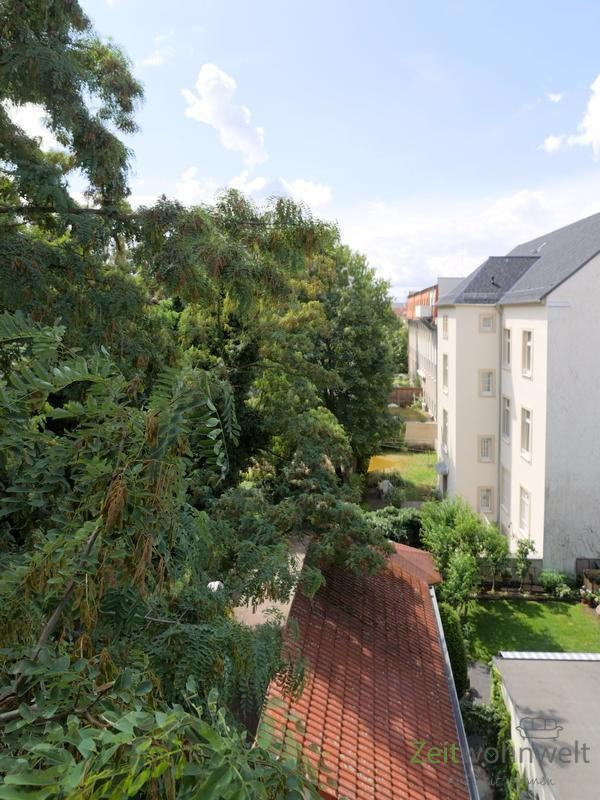 Blick zum Garten