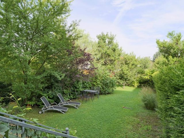 Tisch und Sonnenliegen im Garten