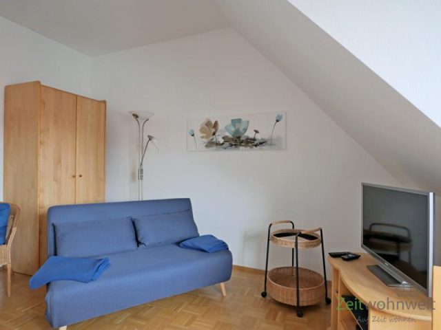 Sofa und TV
