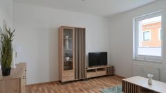 Trotha, Erstbezug in neu möblierte 2-Zimmer-Wohnung, Garten am Haus, Waschmaschine
